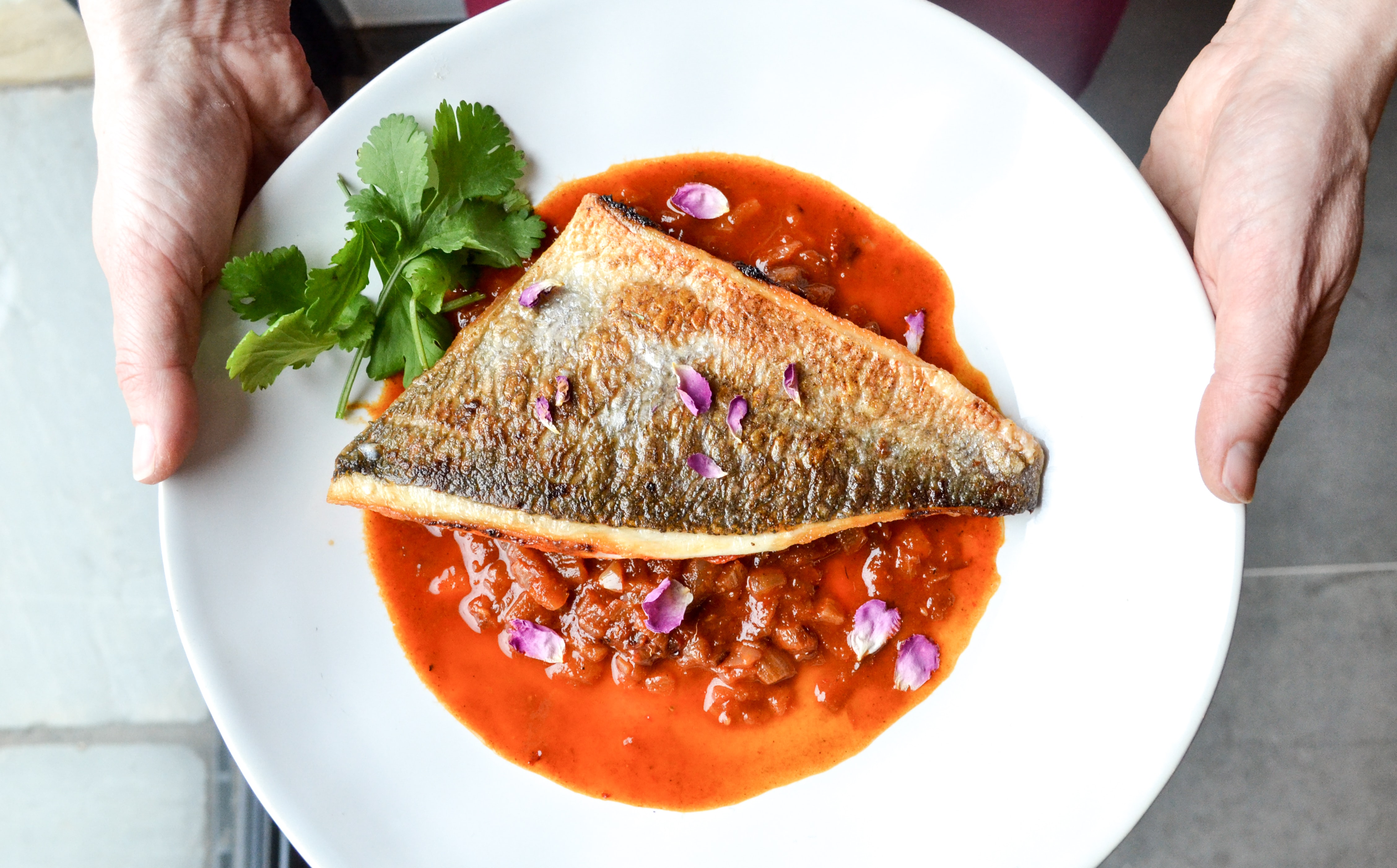fresh fish food with red sauce