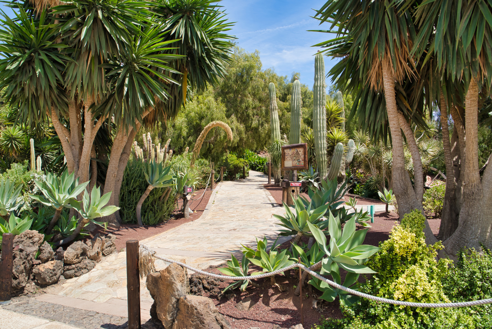 rancho texas park in lanzarote